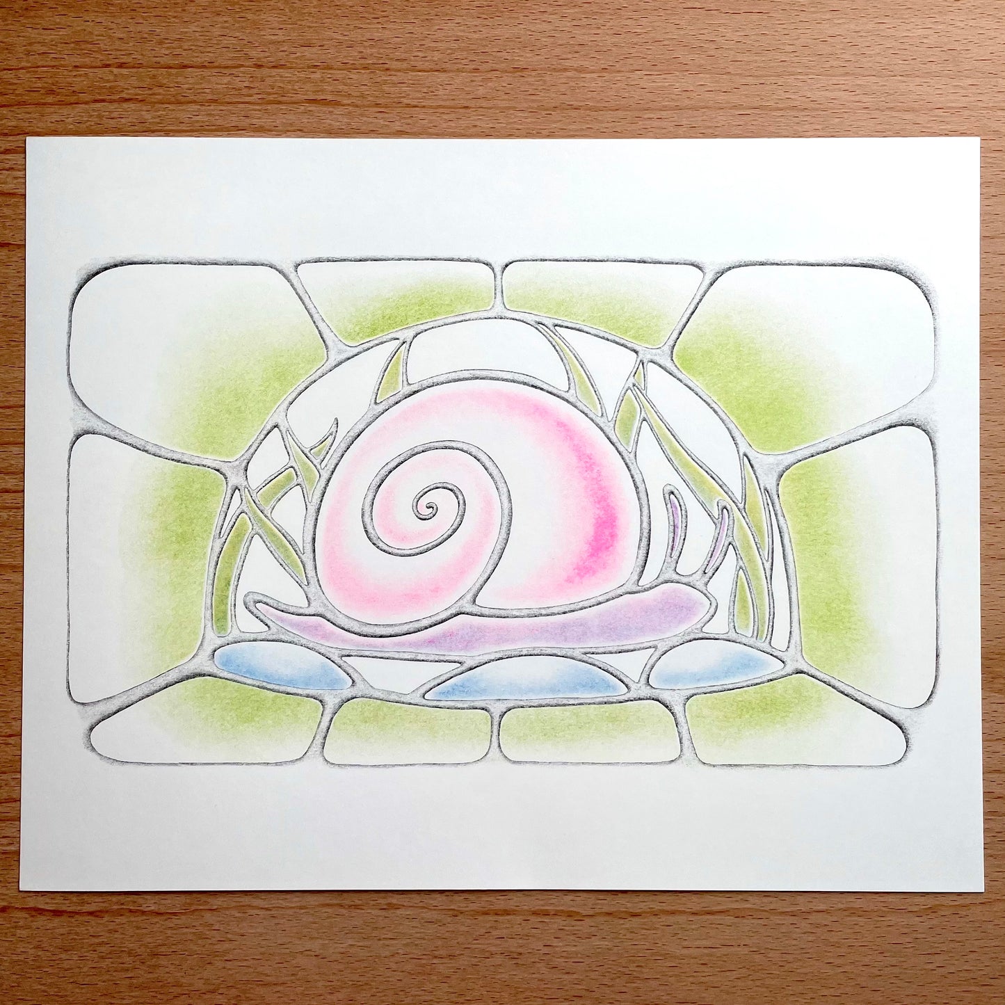 Snail Print