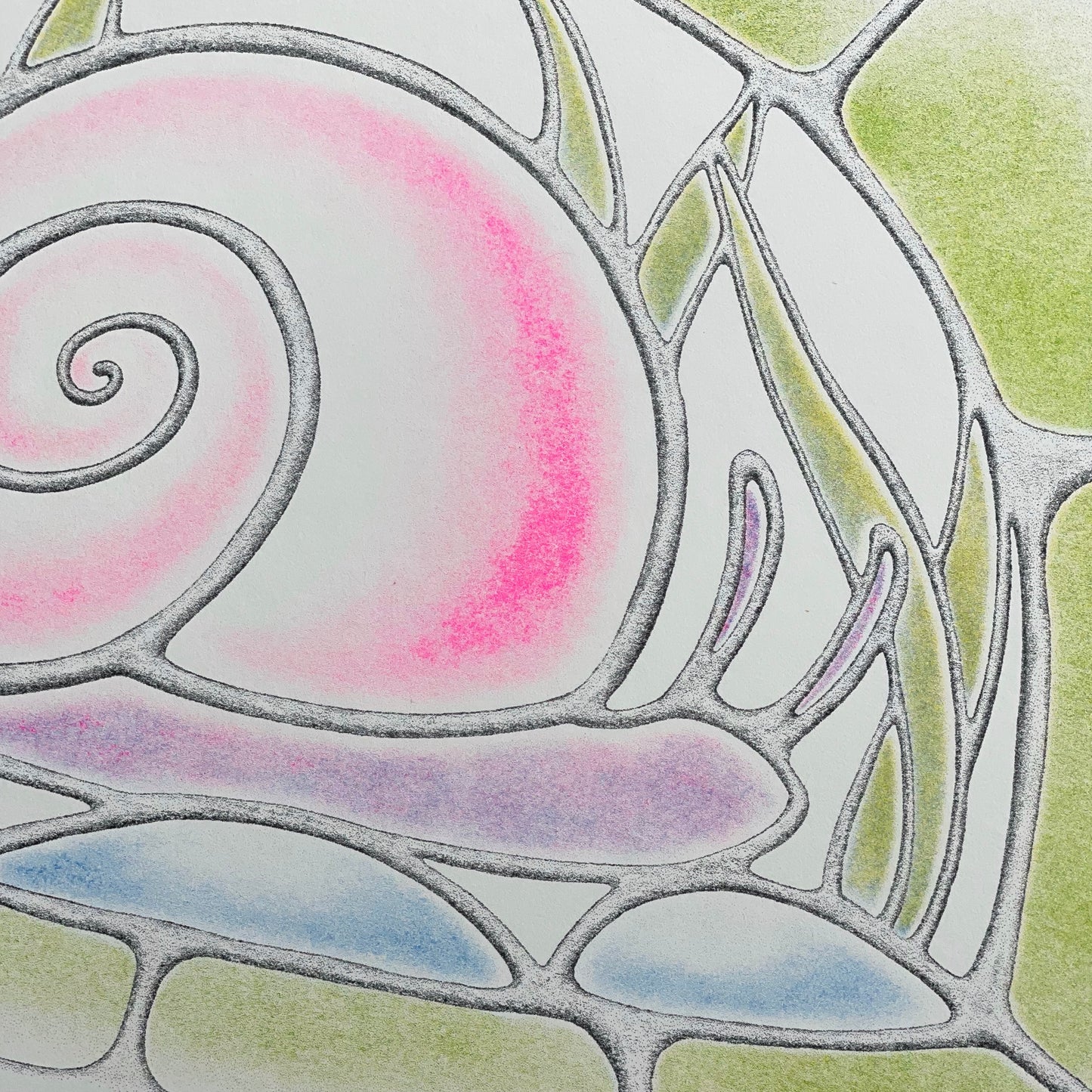 Snail Print