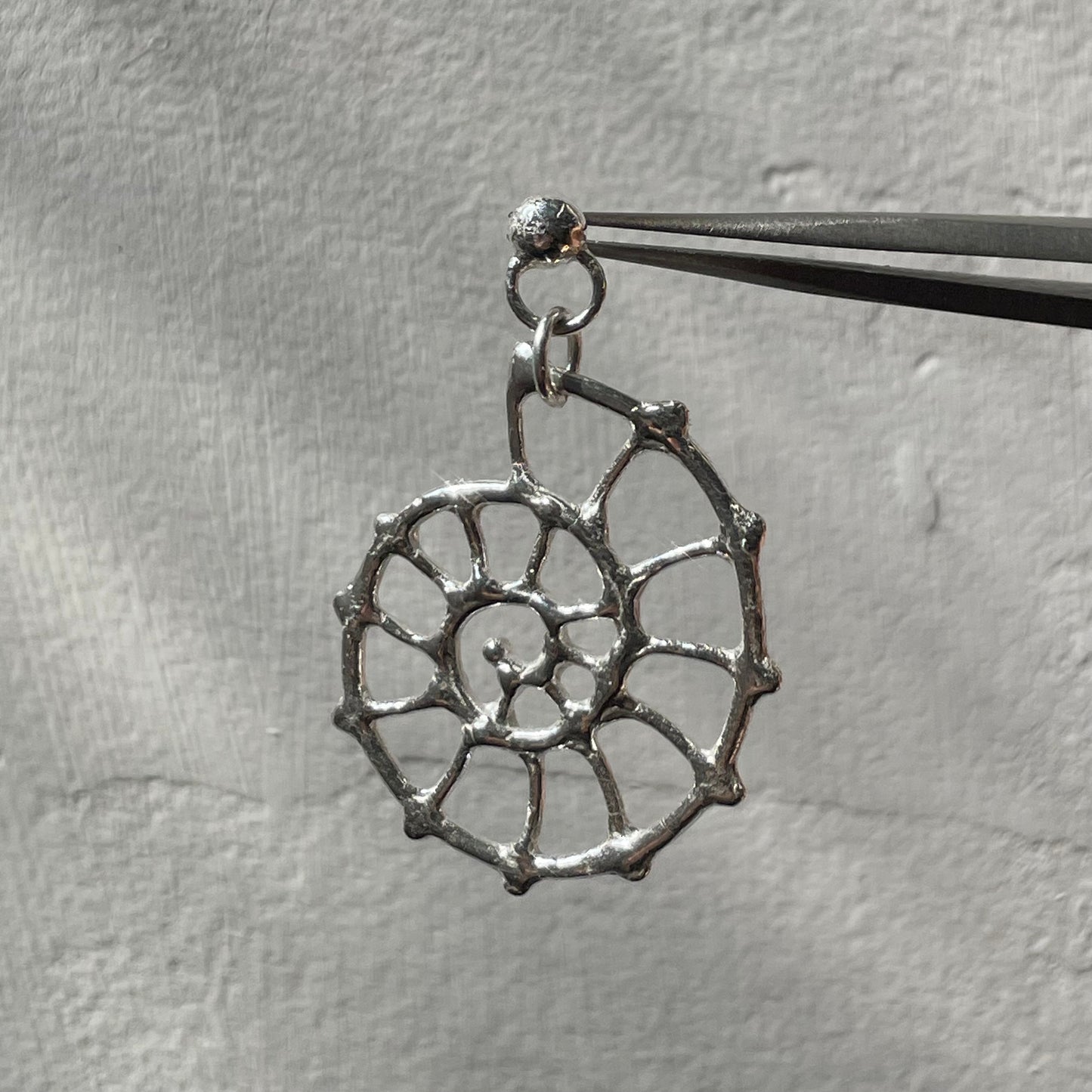 ammonite dangle