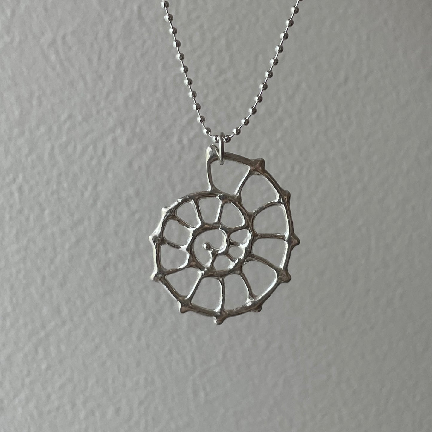 ammonite dangle