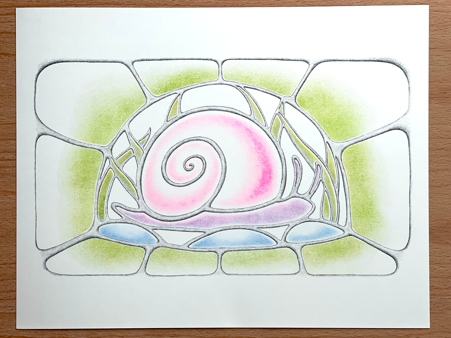 Snail Print
