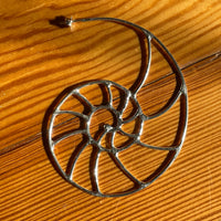 Nautilus Hoops