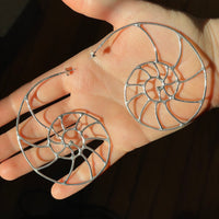 Nautilus Hoops