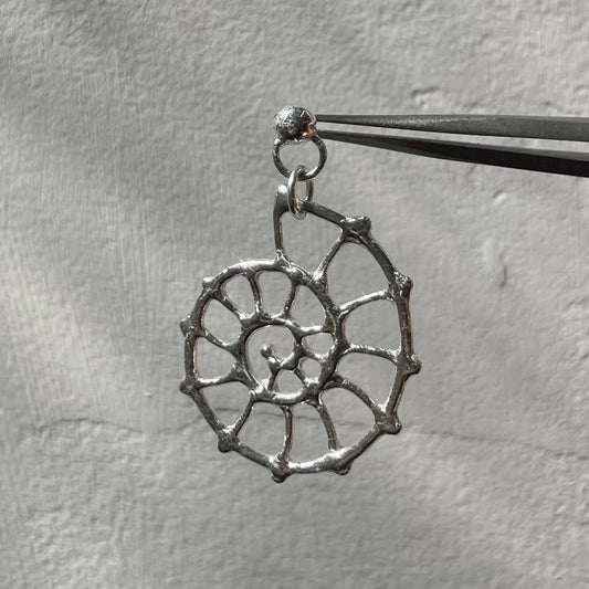 ammonite dangle